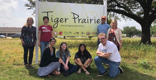 Tiger Prairie