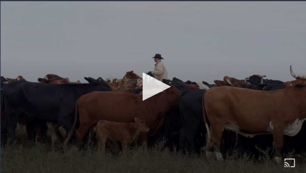 Regenerative Ranching Video Screenshot