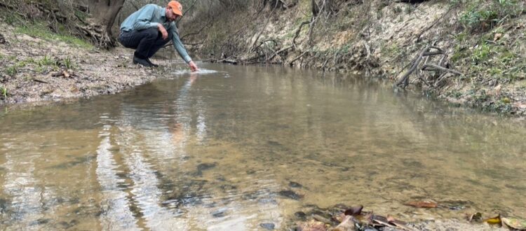 Stream and riparian health