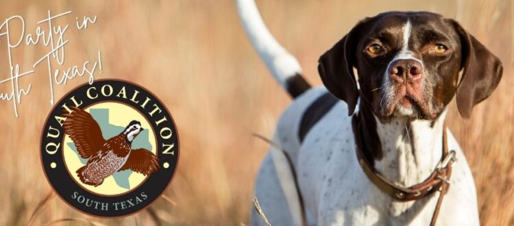 South Texas Quail Coalition 2023