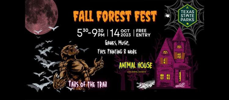 Fall-Forest-Fest