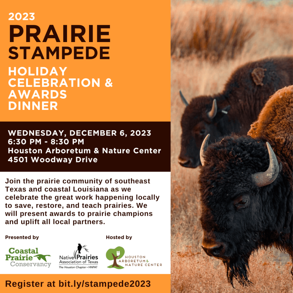 Prairie-Stampede-Invite