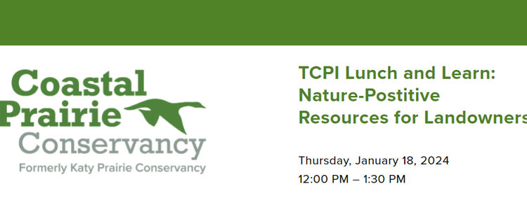 TCPI Lunch and Learn