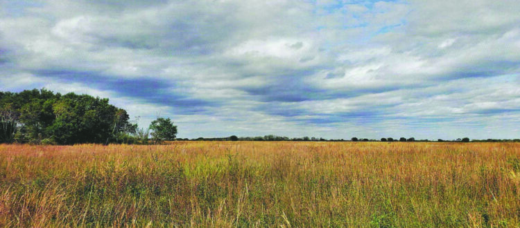 Meeting Landowners Where They Are article