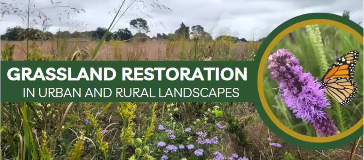 Grassland Restoration in Urban and Rural Landscapes