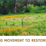 SARP Restoration Assistance presentation banner