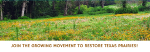 SARP Restoration Assistance presentation banner