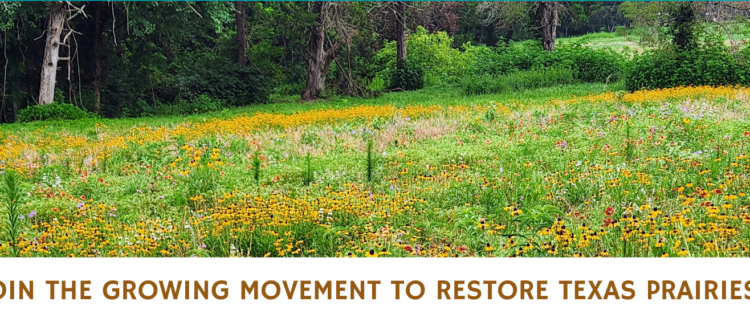 SARP Restoration Assistance presentation banner