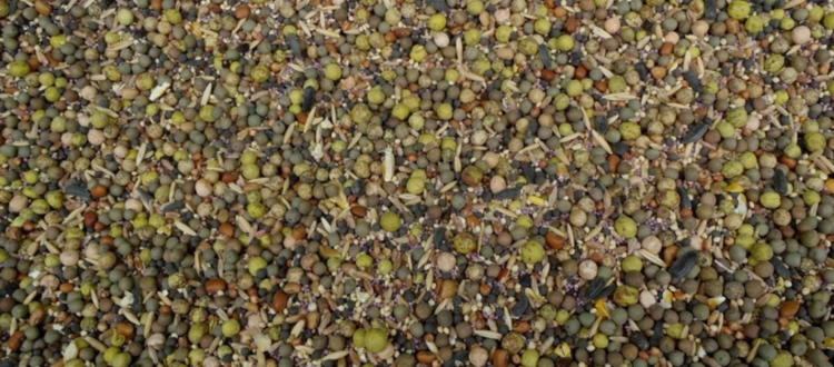 Seed mixture