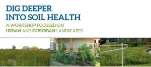 Dig-Deeper-Soil-Health