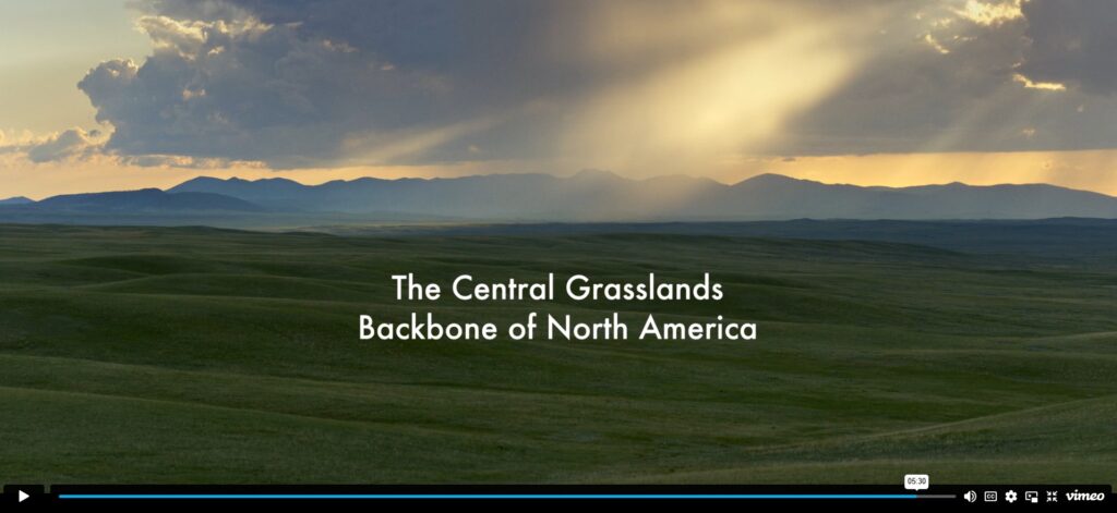 The Central Grasslands Backbone of North America video
