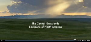 The Central Grasslands Backbone of North America video