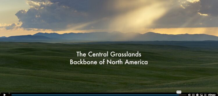 The Central Grasslands Backbone of North America video