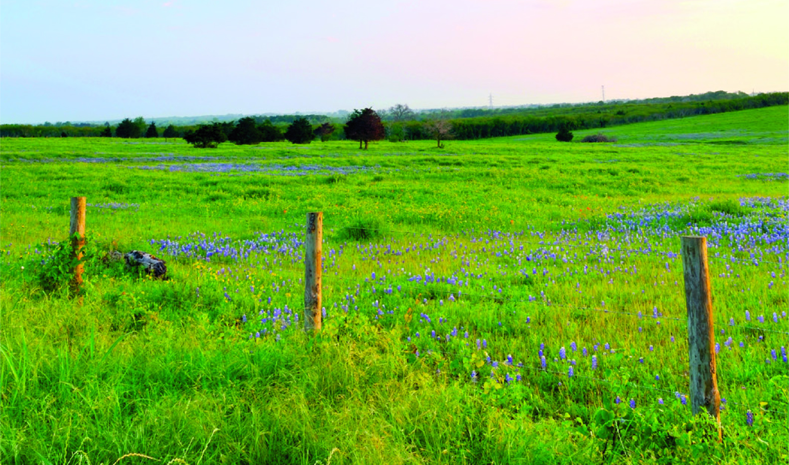 5 Questions about Wildlife Habitat Federation