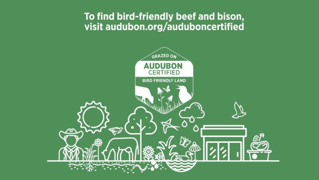 Audubon’s Conservation Ranching Program and Bird Friendly Beef program