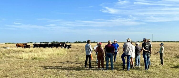 Fundamentals of Regenerative Grazing