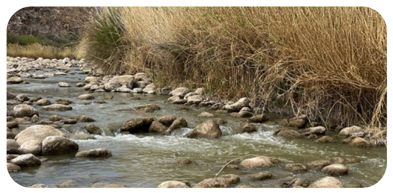 Water Stewardship