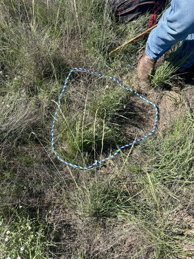 Measuring Forage Production