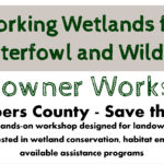 Working Wetlands for Waterfowl