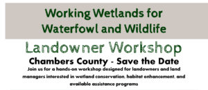 Working Wetlands for Waterfowl