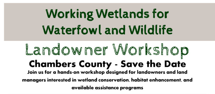 Working Wetlands for Waterfowl